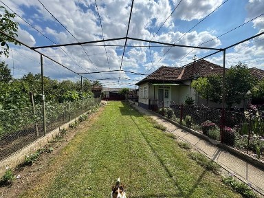 Casă cu teren 4000 m2 în Bihor, Abrămuț