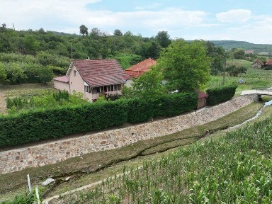 Bihor, Alesd