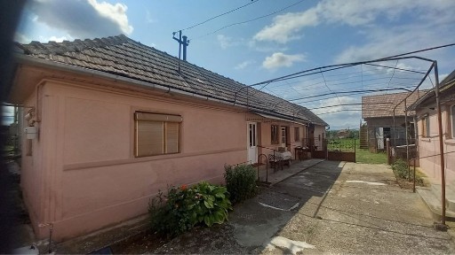 Alba, Bucerdea Granoasa