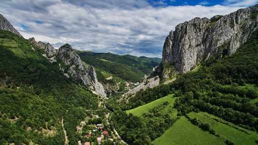 Ramet, Valea Manastirii 41