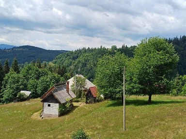 Teren intravilan și 2 case de vânzare în localitatea Sfoartea Comuna Scarisoara Județul Alba