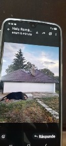 Vrancea, Budesti