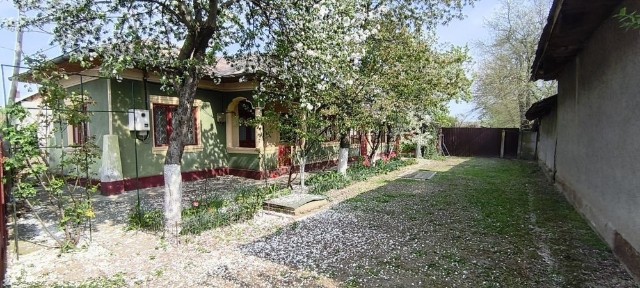 Vând casă în comuna Vedea