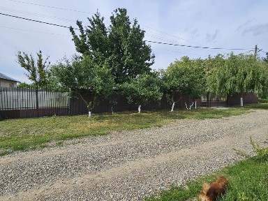 Proprietar, vând casă la țară.