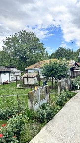 Bacau, Chilia Benei