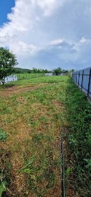 Casă de vânzare Racova