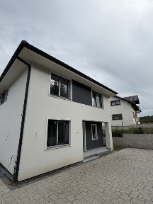 Vand case in apropiere de podul Jelnei