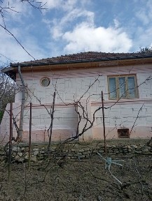 Vând casă cu 2 corpuri, 4.000 m.p. cu livada și vie