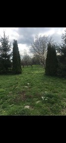 Casuta de vacanta lac si padure 30 min de Bucuresti