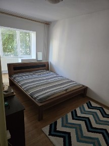 Timis, Timisoara