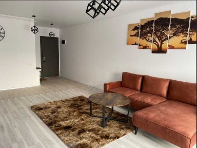 Inchiriez apartament 2 camere, zona Parcul Carol