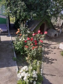 Tulcea, Revarsarea