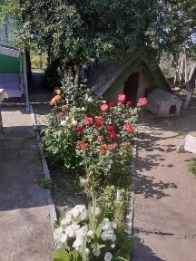 Casă de vânzare la Revărsarea, jud. Tulcea