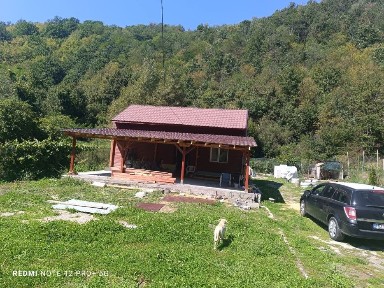 Hunedoara, Hartagani