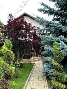Vila P+1+M Stefanesti, 280 mp utili, teren 550 mp, proprietar