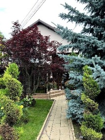 Vila P+1+M Stefanesti, 280 mp utili, teren 550 mp, proprietar