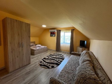 Casa de vanzare -Pensiune de vanzare, inchiriat