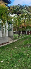 Suceava, Rosiori