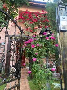 Casa (duplex) de vanzare Pepinieră-Slobozia
