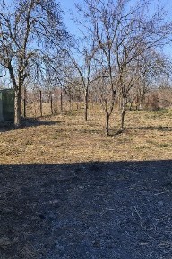 Casă + teren 1457 mp în Dărmănești - se vând împreună sau separat