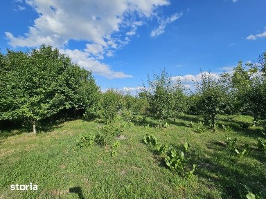 Teren intravilan cu casa renovabila | 772mp teren | Front 12m | Aiton