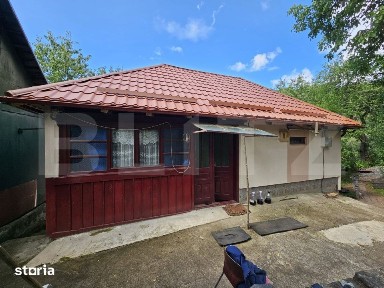 Casa de vanzare, 100 mp, teren 10.000 mp, zona Almasu Mare