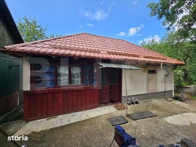 Casa de vanzare, 100 mp, teren 10.000 mp, zona Almasu Mare