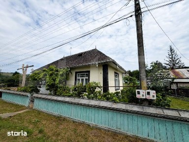 Casa de vanzare, 2900mp teren, Dolhestii Mari