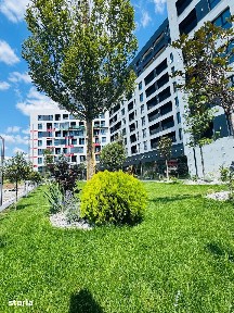 Tatarasi Nord, Iasi
