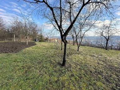 Vand Casa Platou, str. CORNESTI- teren 1150 mp