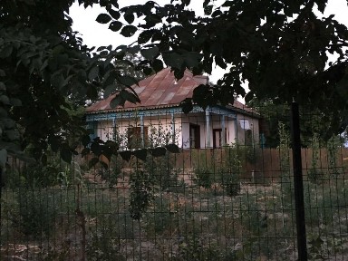 Refugiu la Dunăre: Casa batraneasca si teren generos cu livada