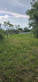 Casa comuna Izvoare, jud Dolj sau pachet casa plus 15 ha teren arabil