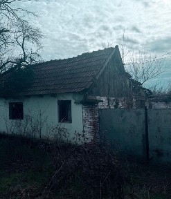 Casa de vanzare in sat Rapsig jud Arad cu 1400 m2 pamant