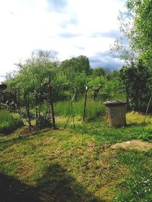 Casa plus teren de vânzare Valea Prahovei Provița de Jos