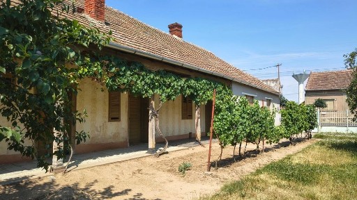 Casă cu grădină, localitatea Foieni.