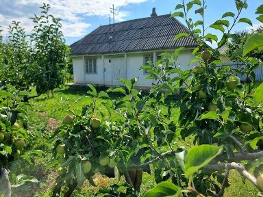 Neamt, Miron Costin