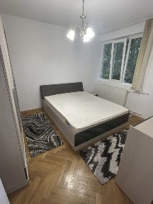 Timis, Timisoara