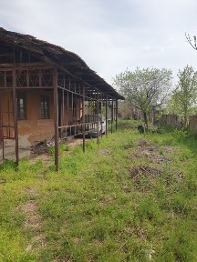 Dolj, Bratovoesti
