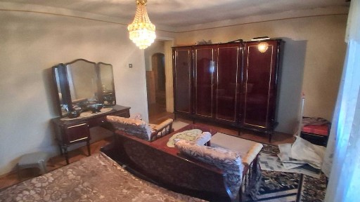 Timis, Timisoara