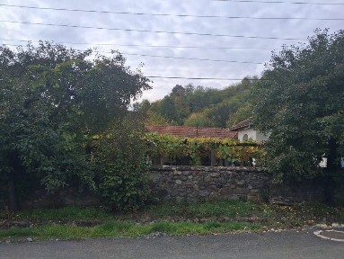 Casă tradițională cu teren generos - Borosteni, Peștișani, jud. Gorj