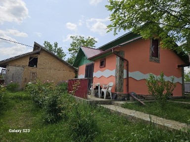 Buzau, Cozieni