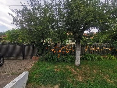 Buzau, Grajdana