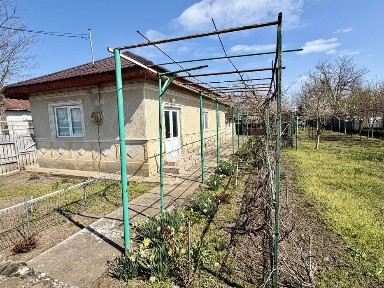Calarasi, Dor Marunt