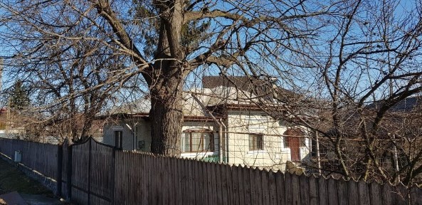 Casă cu teren de vânzare