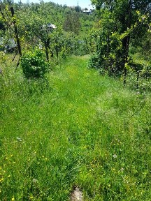 Casă din cărămidă, Ocnița, jud.Dâmbovița.