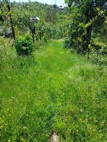 Casă din cărămidă, Ocnița, jud.Dâmbovița.