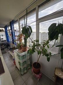 Apartament 2 camere progresul