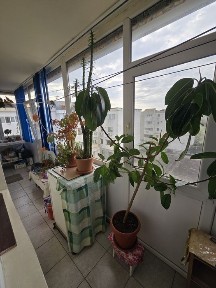Apartament 2 camere progresul