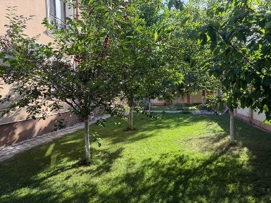 Inchiriez Vila Comuna Berceni