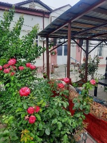 Case de vanzare în Braila